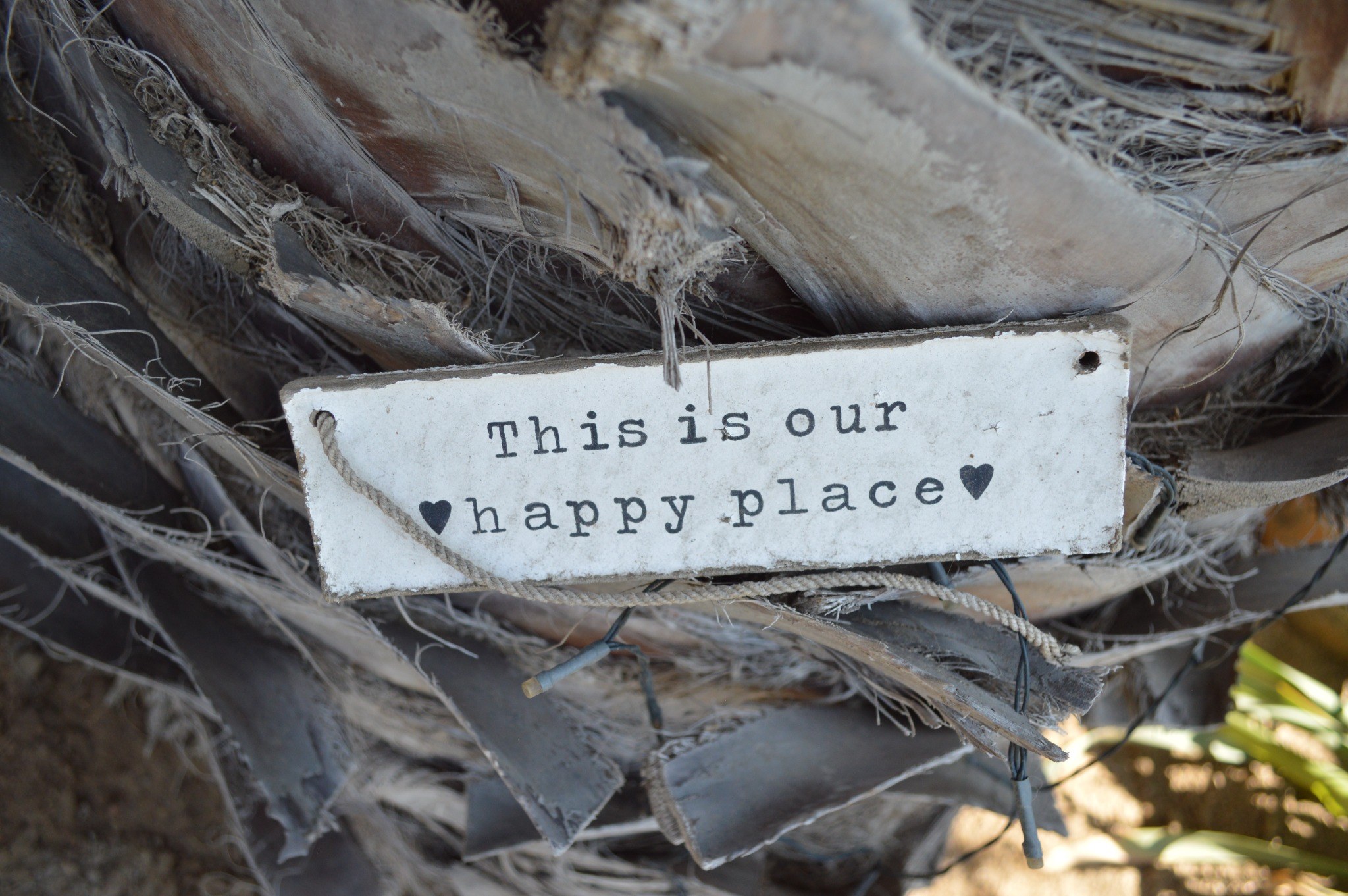 A happy place sign among natural textures