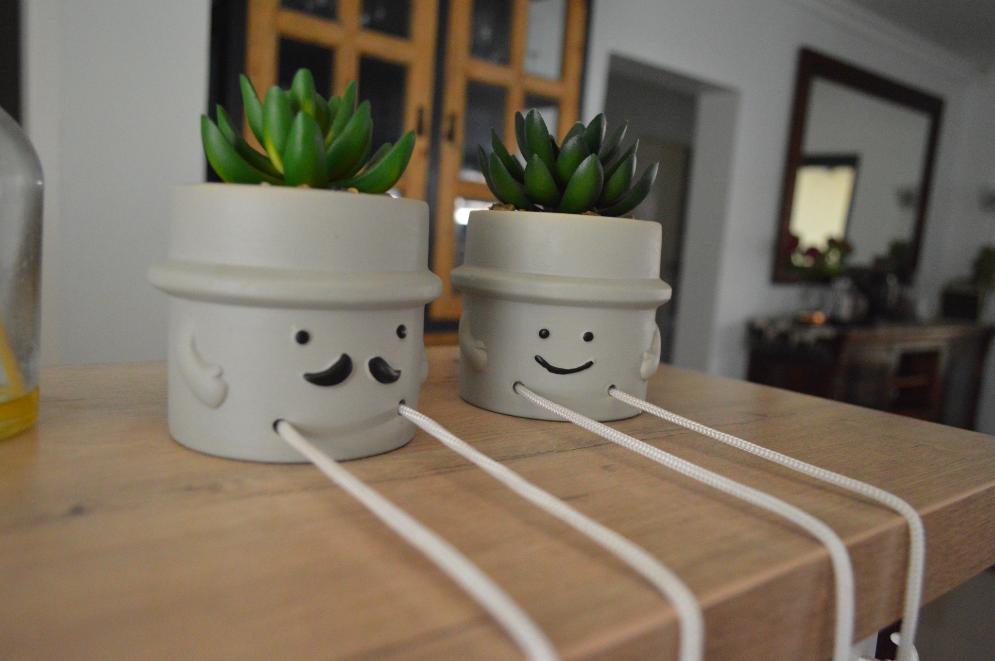 Cheerful plants and thoughtful guesthouse details